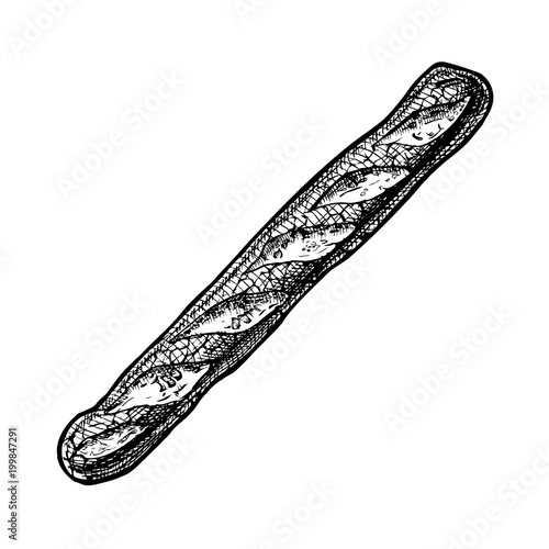 illustration of baguette