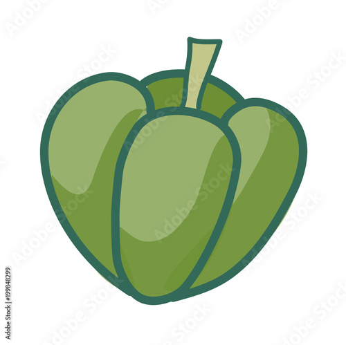 vector icon