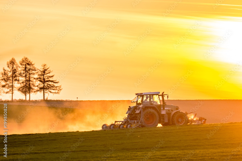 Obraz premium Traktor bei Sonnenuntergang