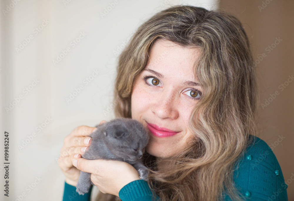 Woman holding gray scottish fold kitten Woman holding gray scottish fold kitten