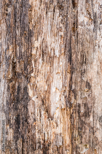 texture of old stratified and rotten wood, abstract background
