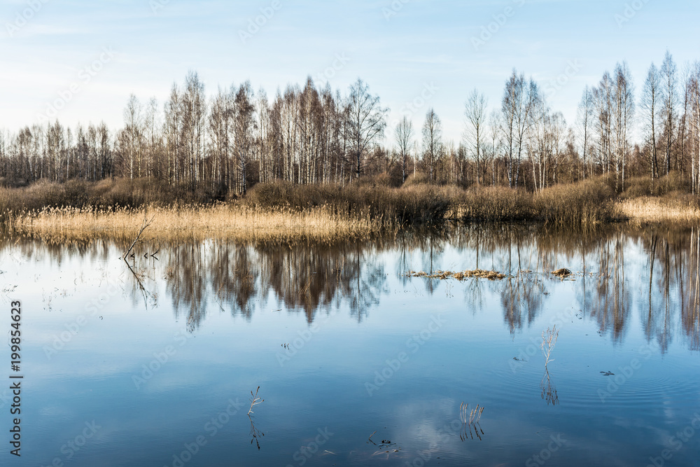 high water rivers and forests without leaves in the early spring, a clear sunny day high water rivers and forests without leaves in the early spring, a clear sunny day