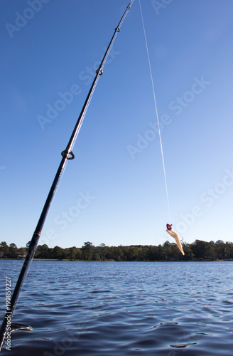 Fishing rod and lure