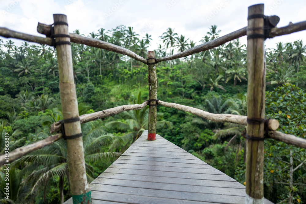 The Bali Swing area in Indonesia