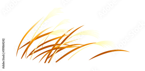 icon reed 