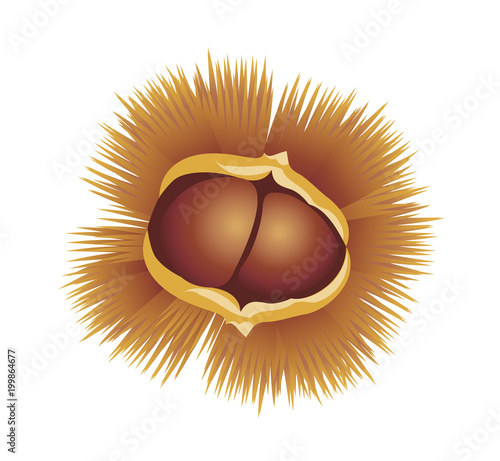 icon chestnut