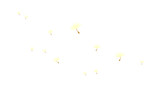 icon dandelion spore