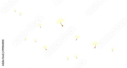 icon dandelion spore