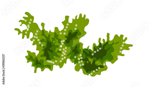 icon sea weed