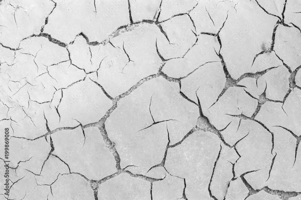 Soil drought cracks texture white background for design. Soil drought cracks texture white background for design.