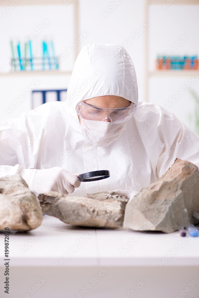 Scientist looking and stone samples in lab Scientist looking and stone samples in lab