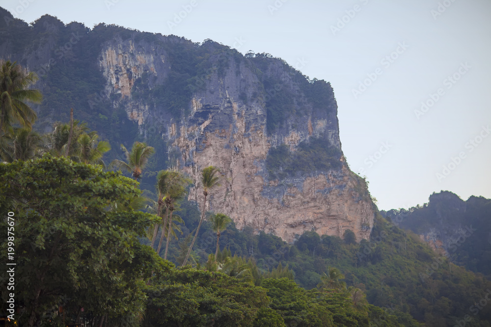 Rock mountain and palm trees in the early morning twilight, Krabi Thailand