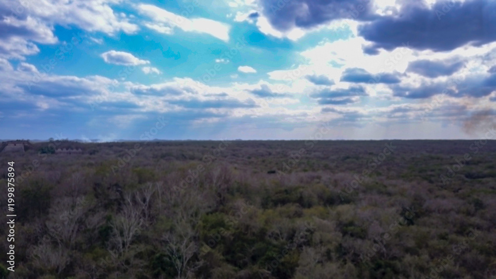 Natural colors from a bird's eye view. Amazing views and Mexican Selva in all its glory Natural colors from a bird's eye view. Amazing views and Mexican Selva in all its glory