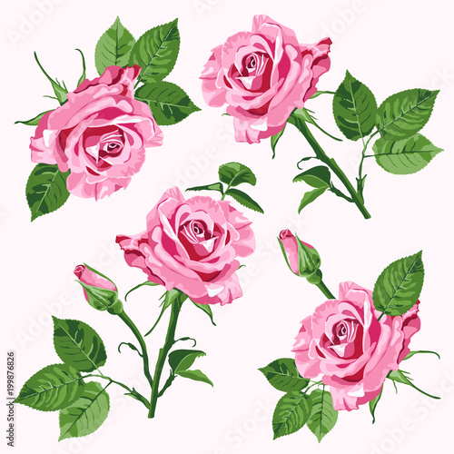 Pink vector roses and leave seamless pattern