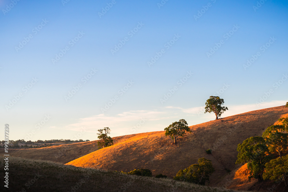 Fototapeta premium Summer Hills