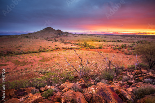 Desert Glory photo