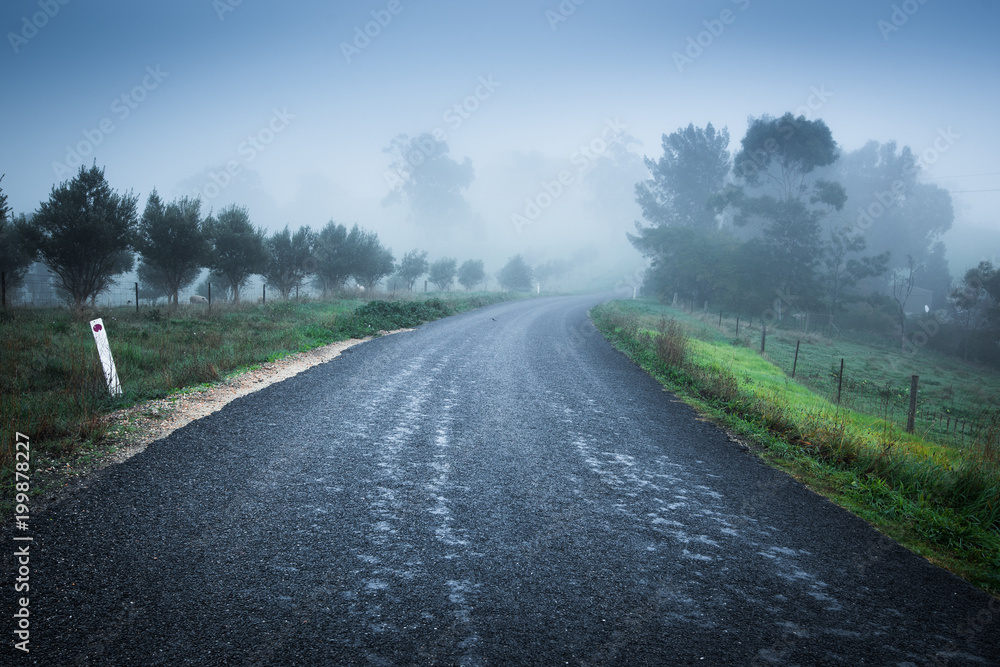 Misty Road