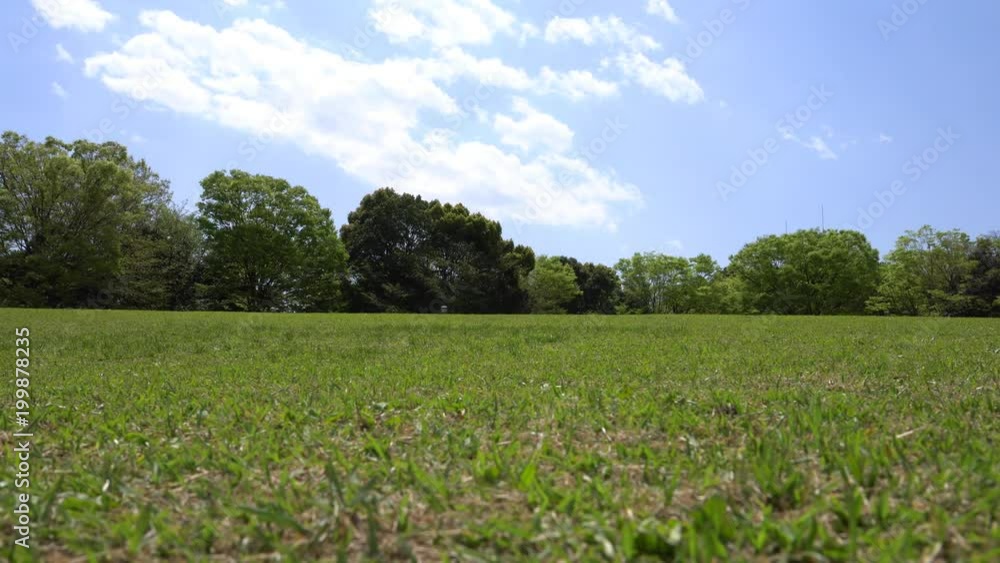Tokyo, Japan-April 9, 2018: Green lawn surrounded by trees in park on a sunny spring morning. Tokyo, Japan-April 9, 2018: Green lawn surrounded by trees in park on a sunny spring morning.