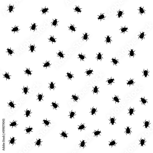 insect pattern