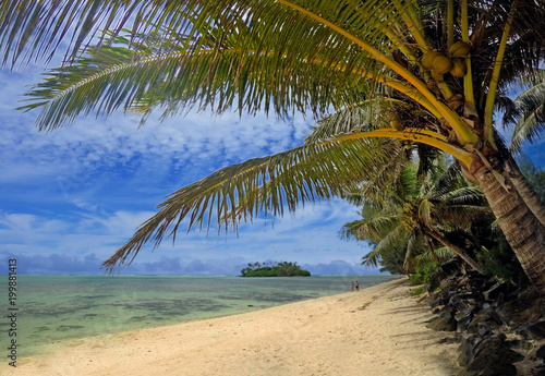 Landscape view of coconut palm trees in Muri lagoon in Rarotonga Cook Islands