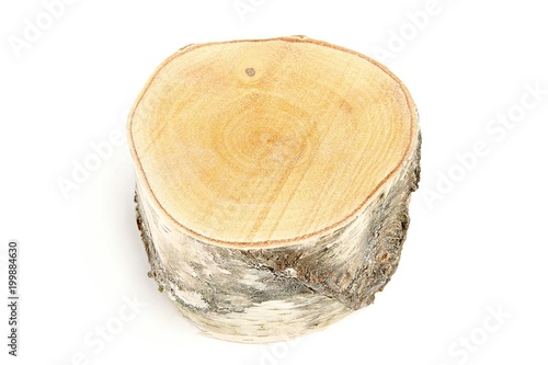 Birch stump isolated on white background. Wooden tree log.