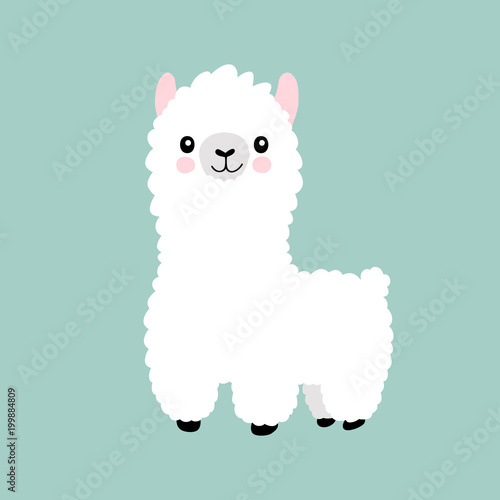 Llama cartoon cute alpaca. Lama animal vector isolated illustration. Cute funny hand drawn art. Design for card, sticker , fabric textile, t shirt. Children, kid modern trendy style