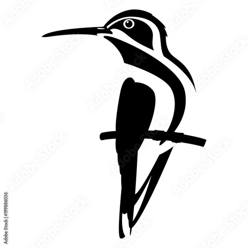 colibri bird vector illustration flat style profile