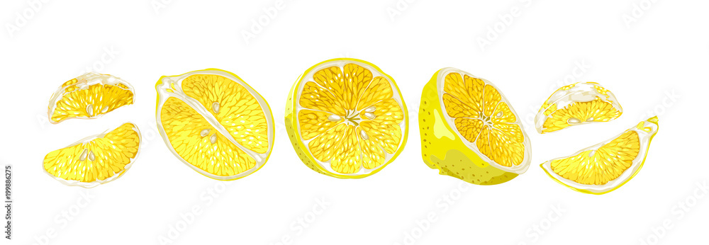 Set in horizontal line with fruits halves and slices of a lemon tree fruits Set in horizontal line with fruits halves and slices of a lemon tree fruits