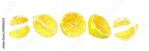 Set in horizontal line with fruits halves and slices of a lemon tree fruits