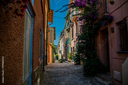 Collioure, côte vermeille, France.