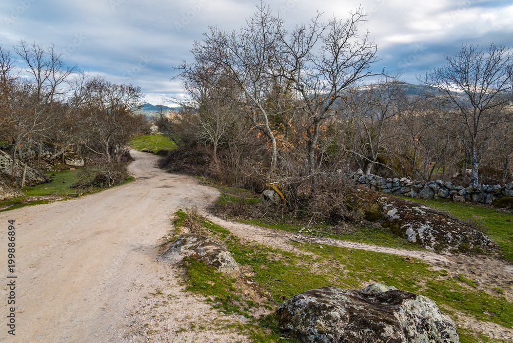 Landscape with green grass, rocks and road Landscape with green grass, rocks and road