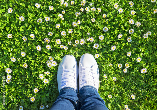 Fototapeta Naklejka Na Ścianę i Meble -  Legs in jeans and white sports lace up sneakers shoes on green meadow with grass and camomiles (daisies). Spring season wellness concept.