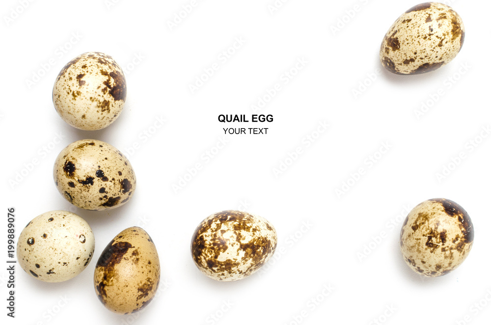 Obraz premium Quail eggs on white background, with space for text.