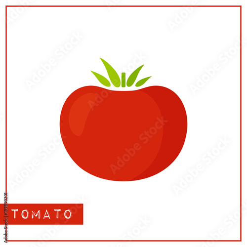 Bright memory training card with color vegetable. Flat design isolated red color tomato with shine and shade. Vector illustration for healthy nutrition poster, vegetables market sign or organic logo