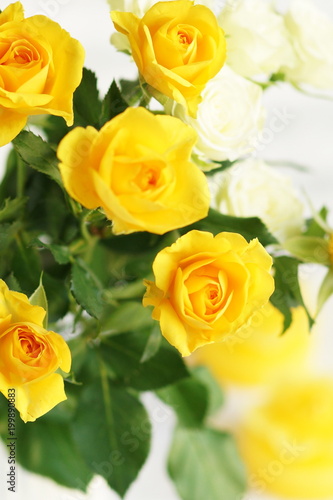 Bouquet of bright yellow roses. Beautiful Holiday background. 