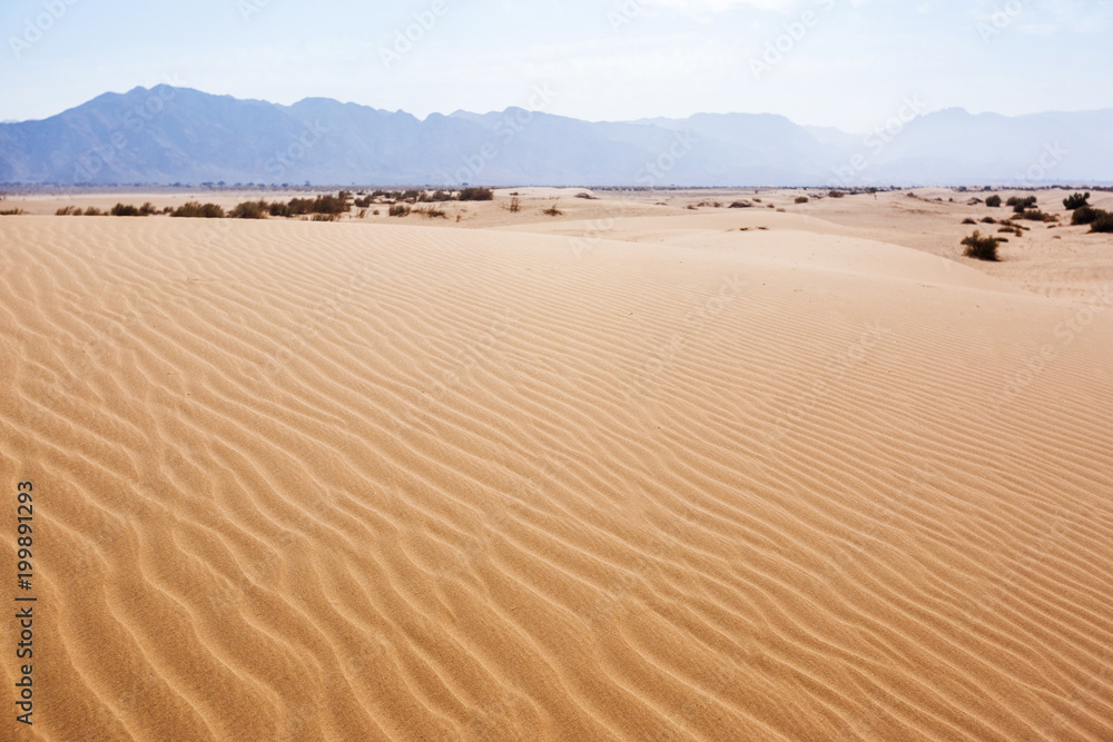 Sand Dune. Wadi Araba desert. Jordan landscape Sand Dune. Wadi Araba desert. Jordan landscape