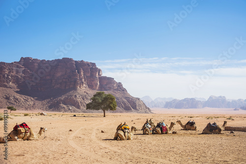 Wadi Ram desert. Jordan landscape