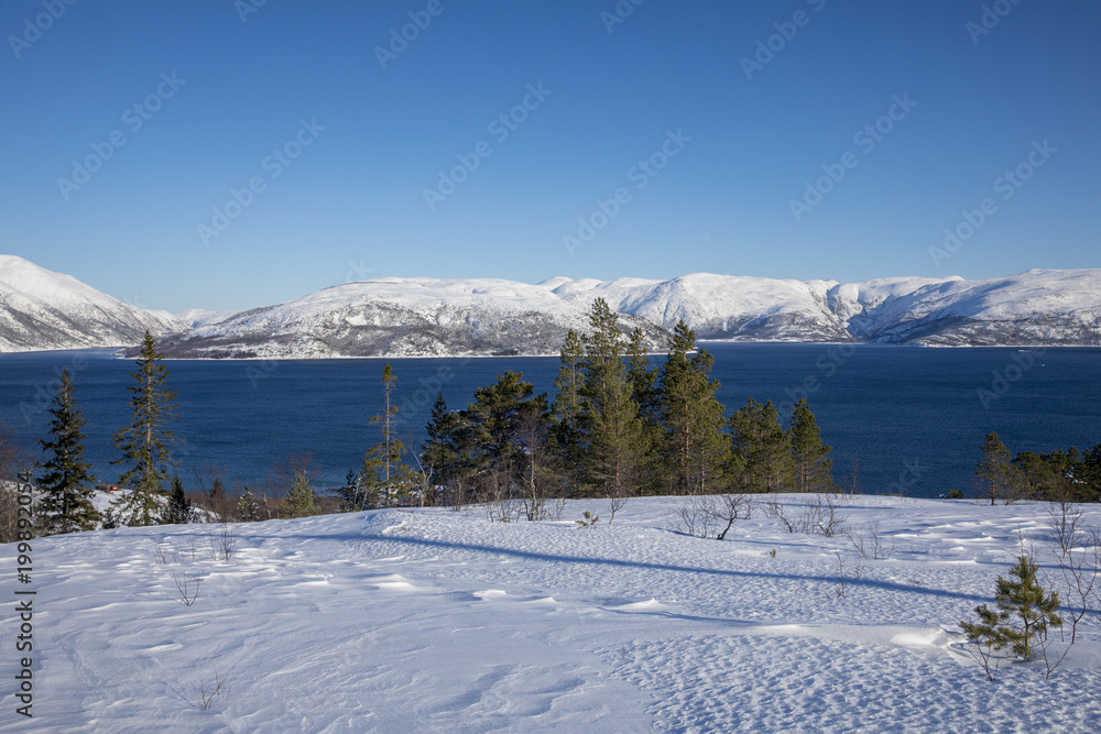 Fototapeta premium Winterland in Northern Norway