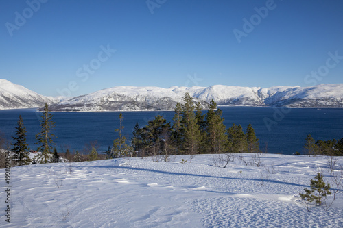 Winterland in Northern Norway