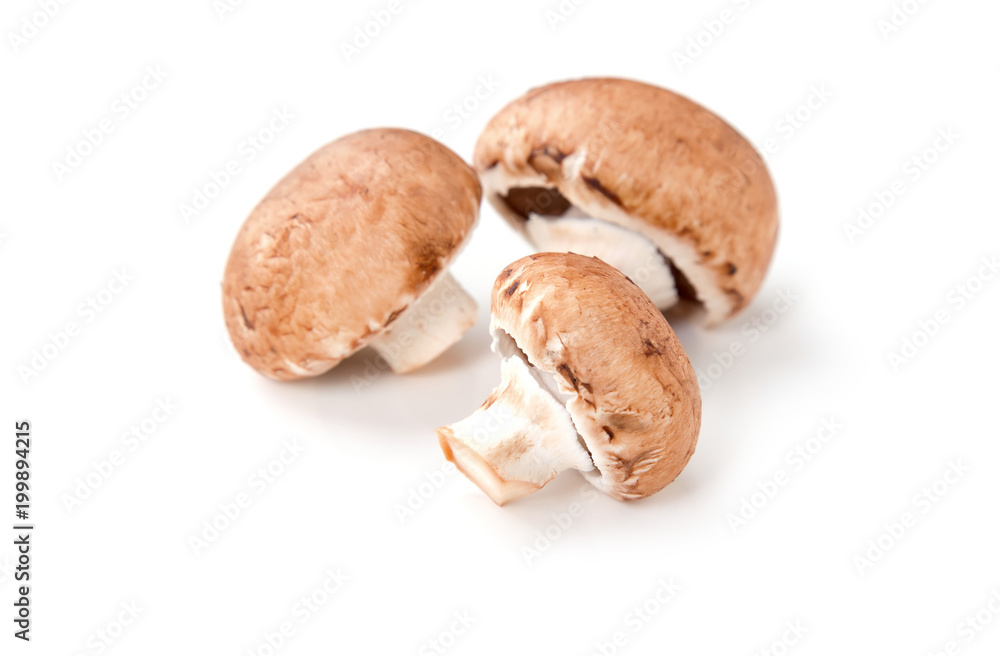 Whole royal mushrooms champignon on a white background. Whole royal mushrooms champignon on a white background.