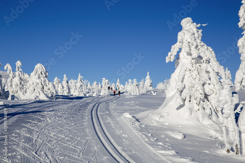 Winterland in Trysil Norway