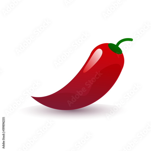 chilli pepper vector illustration