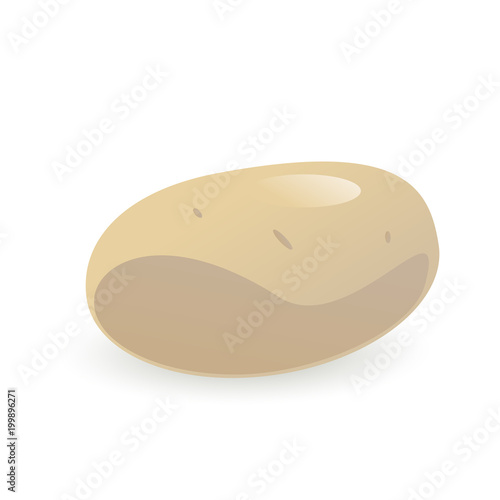 ripe potato vector illustrator