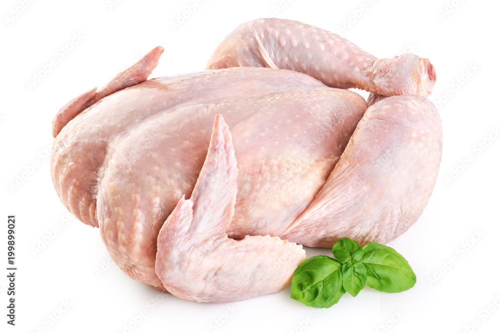 Fresh raw chicken and basil isolated on white background. - obrazy, fototapety, plakaty 