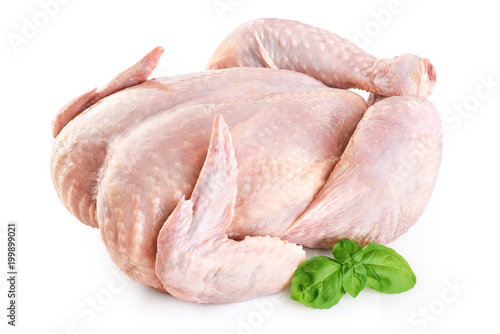Fresh raw chicken and basil isolated on white background.