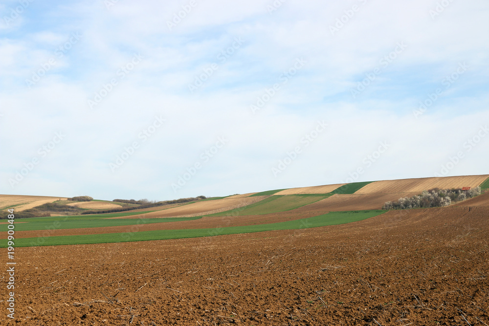 plowed and green wheat field farmland landscape plowed and green wheat field farmland landscape