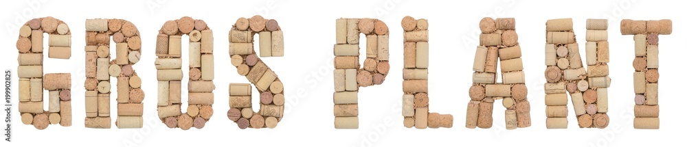 Grape variety Gros Plant  made of wine corks Isolated on white background