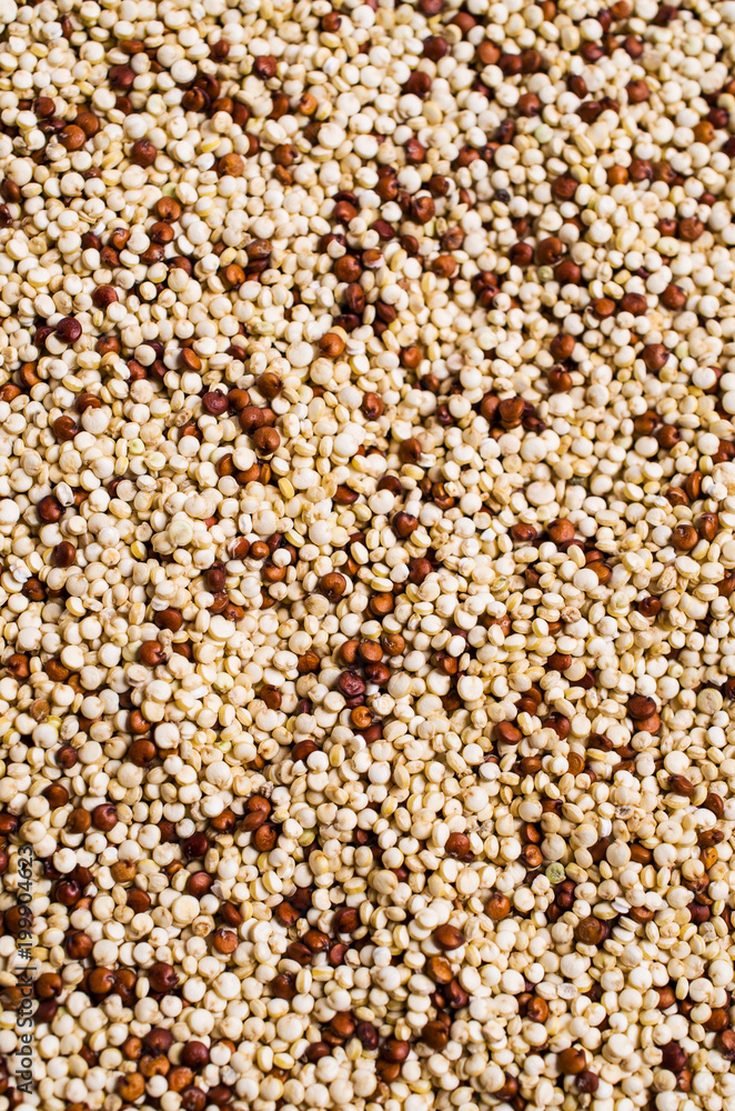 Dry seeds mixed quinoa Dry seeds mixed quinoa