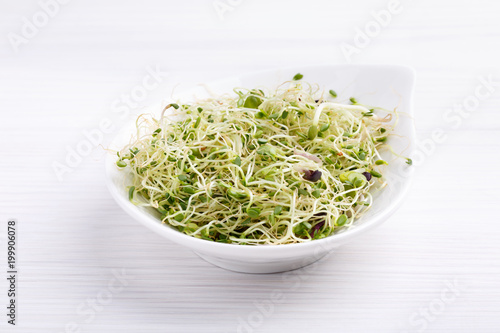 Mix of food sprouts - alfalfa, radish, clover in a bowl. Micro greens on white. Healthy eating.