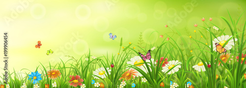 Green spring or summer meadow with grass, flowers and butterflies